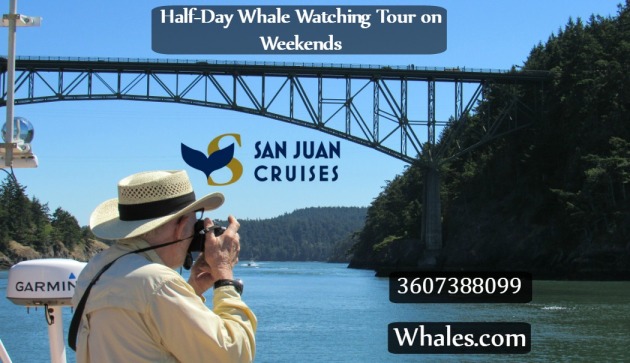 San Juan Islands Whale Watching Adventure Cruise